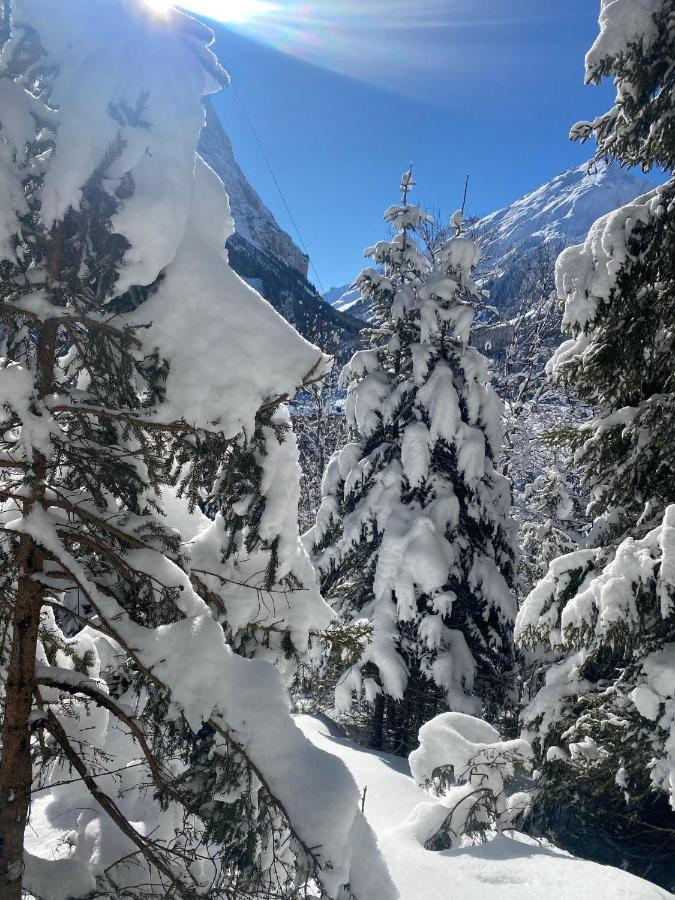 Hotel L'Edelweiss Pralognan-la-Vanoise Exterior foto