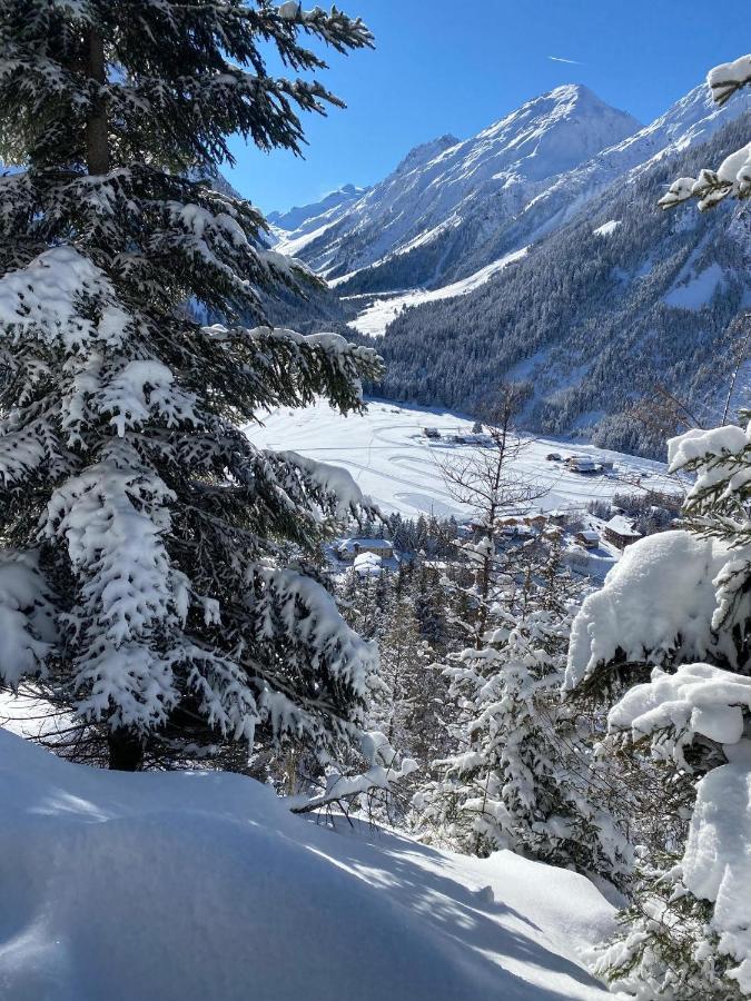 Hotel L'Edelweiss Pralognan-la-Vanoise Exterior foto
